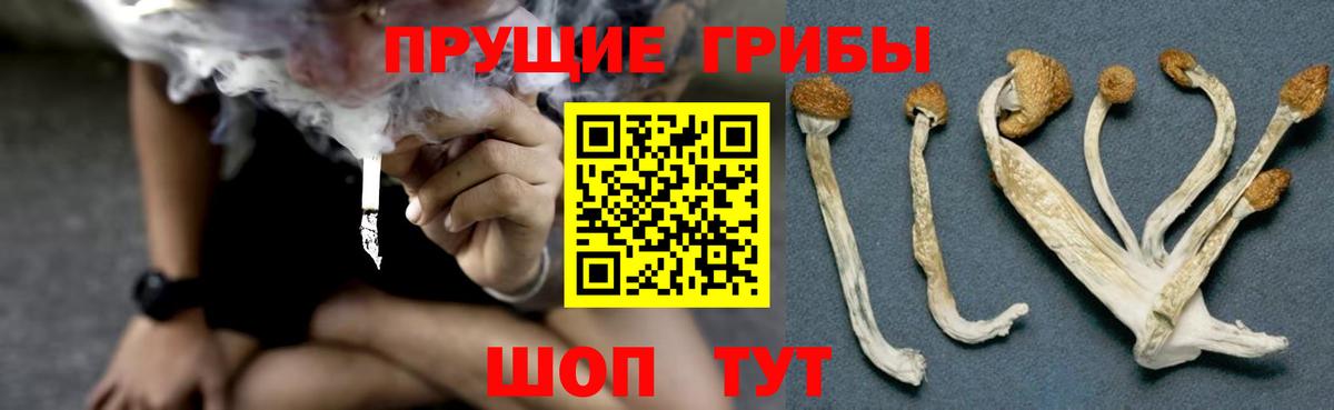 Псилоцибиновые грибы Cubensis Ростов Великий